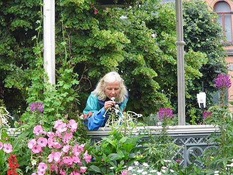 DSCI0192.JPG - Die Bordfee ist begeistert; kann sie doch wieder in Blumem schwelgen! Diese Liebe teilen wir eindeutig!