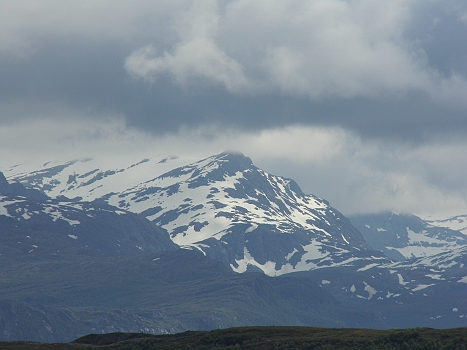 DSCI0040.JPG - Tut mir leid, aber ich muss immer auf den Ausloeser druecken, wenn ich sowas sehe...