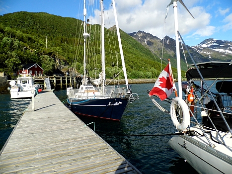 DSCI0246.JPG - Nein, nicht dass jemand denkt, wir haetten uns verfranst: Wir sind nicht in Kanada! Auch wenn's da wohl nicht viel anders aussieht