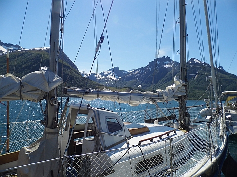 DSCI0030a.JPG - Irgendwie passt Maimiti in diese Umgebung