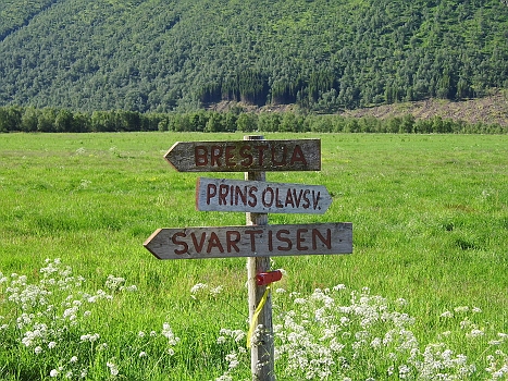 DSCI0041.JPG - Nun wissen wir endlich, wo es hingeht! Uebrigens, wir folgten nach der Gletschertur auch noch dem kleinen, unscheinbaren, roten Holzpfeil. Es war ein Volltreffer!