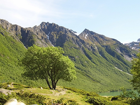 DSCI0062.JPG - Dieser einsame Baum vor DER Kulisse: dieses Foto musste ienfach sein!