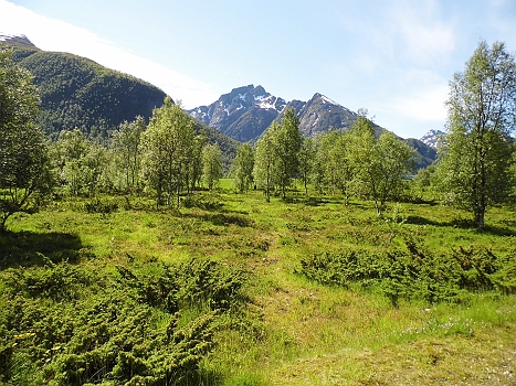 DSCI0089.JPG - Wozu in die "Rockies" fliegen?