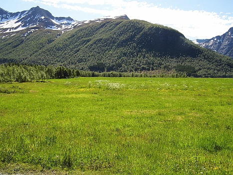 DSCI0097.JPG - Niemand wuerde es wundern, wenn zu diesem Bild im Hintergrund das Lied "Heidi, deine Welt sind die Berge" zu hoeren waere