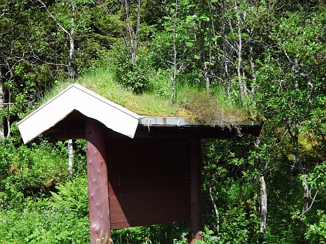 DSCI0141.JPG - Interessante Variante oekologischer Dachdeckerkunst!