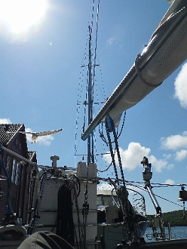 DSCI0001.JPG - Die Moewe verabschiedet uns aus Farsund. Auf ein Abschiedsgeschenk von ihr haben wir dankend verzichtet ;-)