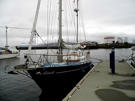 DSCI0018a.JPG - Und jetzt mal Kontrastprogramm: Hier unsere Maimiti, geliebt, und gepflegt...