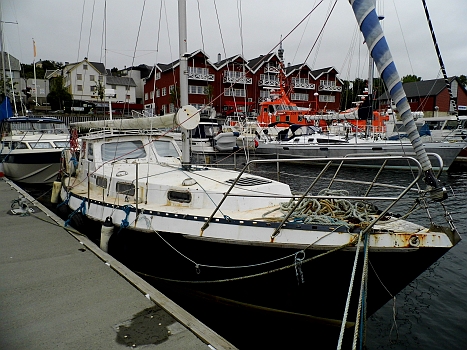 DSCI0019a.JPG - ... und direkt vor ihr "DAS"! Da blutet einem doch das Herz, wenn man sowas sieht. Mir hat's richtig in den Fingern gejuckt...