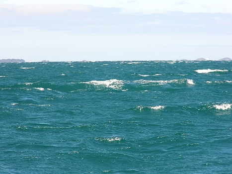 DSCI0071.JPG - Ja, die Genua reicht noch immer... 25 bis 30 kn Wind von achtern blasen uns mit teilweise 7 kn vor sich her. Der Strom tut wohl noch einen halben Knoten drauflegen. Cooles Segeln!