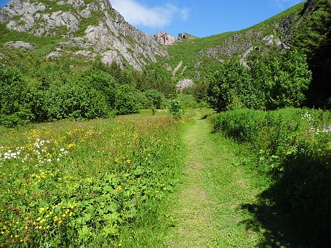 DSCI0085.JPG - Und nun mal ausfuehrlich zu den norwegischen Wanderwegen: Hinterhaeltigerweise fangen sie in der Regel so wie hier an. Damit werden die doofen Touries gelockt!