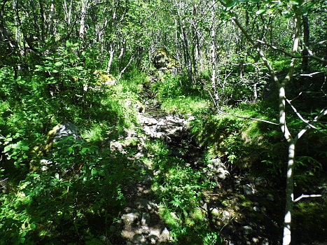 DSCI0086.JPG - Aber dann! So geht's dann weiter, was aber noch steigerungsfaehig ist. 