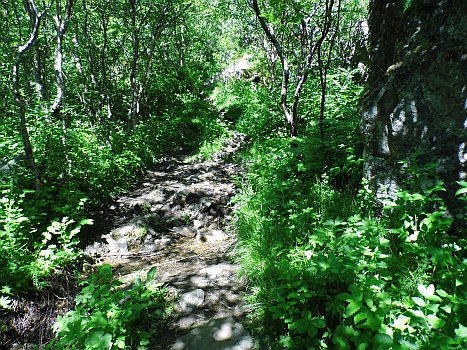 DSCI0090.JPG - ...dann weiter bergan uerber Stock und Stein und Bach...