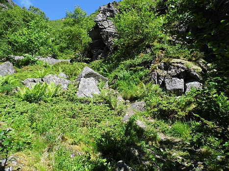DSCI0091.JPG - ...zur alpinen Herausforderung mutiert!