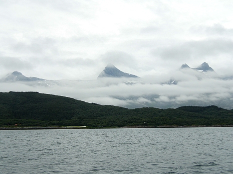 DSCI0024.JPG - Sandnessjoen verlassen ist zwar eine Freude, denn es hat mir gar nicht gefallen, aber das Wetter sieht nicht einladend aus...