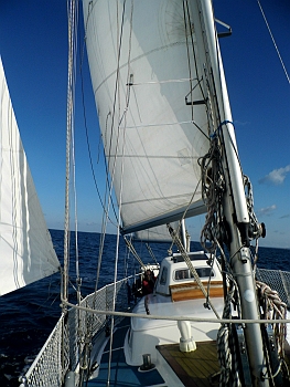 DSCI0092.JPG - And up we go! Schoenes Segeln im Kattegat