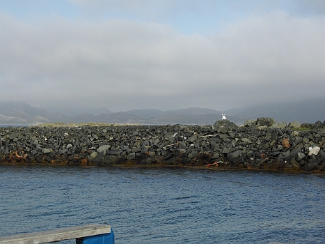 DSCI0152.JPG - ...oops! Und so sieht's dann innerhalb einer Stunde spaeter aus. Wie gesagt: das Wetter sollte umschlagen!