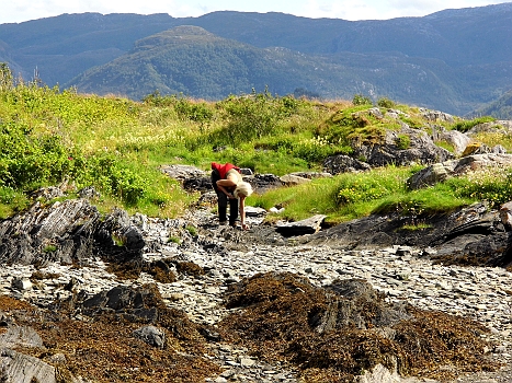 DSCI0040x.JPG - Die hier uebrigens auch! Die kleine Muschelsammlerin von Silda...