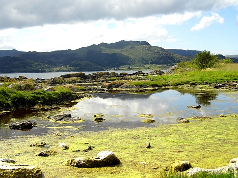 DSCI0046x.JPG - Und eines gibts hier in Huelle und Fuelle: Landschaft zum dahinschmelzen...