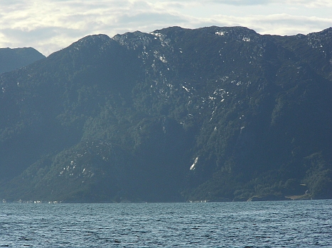 DSCI0058y.JPG - Es hat in der Nacht geregnet und die vielen, vielen Wasserlaeufe an den Begen vermitteln einem den Eindruck, als waeren da Silberadern! Ob's da auch Zwerge gibt, in den Silberminen?