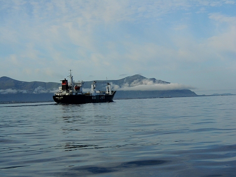 DSCI0061.JPG - Wir sind nicht die Einzigen auf dem Weg nach Sueden