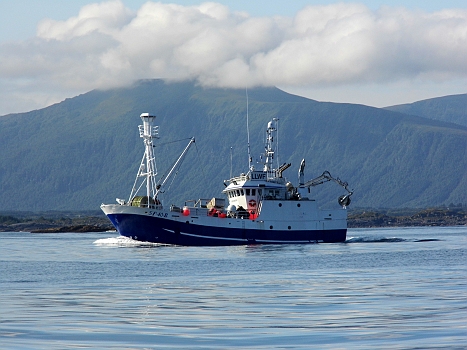 DSCI0085.JPG - Aber jedes Paradies hat auch seine Schattenseiten. Hier kommt eine! Auch wenn sie noch so huebsch weiss/blau bemalt ist: Ein kleiner Walfaenger! Der Ausguck ("Wal da blaest er...!") ist nicht zu uebersehen und die Halterung fuer die Kanone am Bug ebenfalls nicht.Auf dem Weg nach Norden begegneten wir ihm schon einmal: Da war die Kanaone noch montiert...