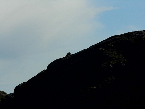 DSCI0176y.JPG - Uebrigens: Trollkinder sind wie Menschenkinder! Sie lassen nach dem Spielen alles liegen...selbst tonnenschwere Steine und zwar ueberall!
