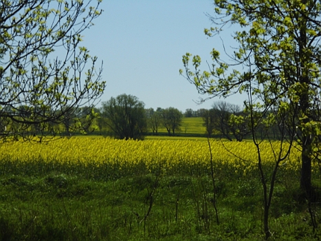 DSCI0136.JPG - Herrlicher Anblick