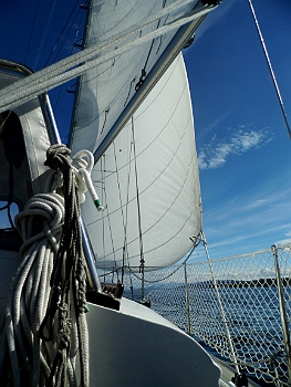 DSCI0014.JPG - Gibts was schoeneres als unter vollen Segeln zu reisen ?!