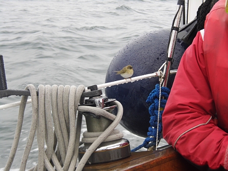 DSCI0219.JPG - So, nun erst mal ausruhen.