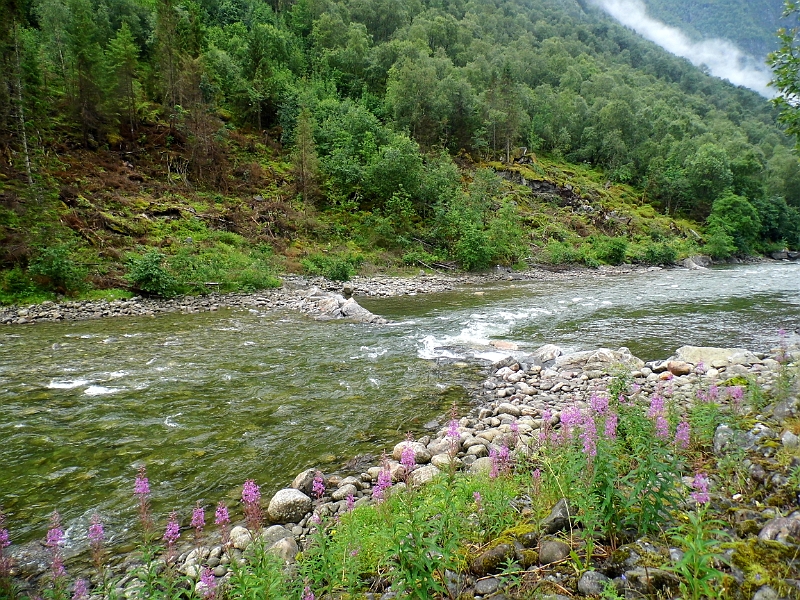 DSCI0027.JPG - Man kann hier in Stordal im Bach angeln oder aber vom Kai aus. Es ist ein Anglerparadies.