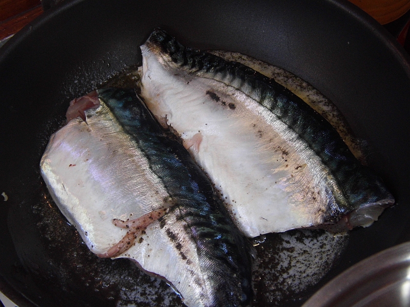 DSCI0046.JPG - Und so sehen frische , wohlbemerkt, FANGFRISCHE, Fische in der Pfanne aus. Wir lassen die Haut immer dran, damit der Fisch nicht zerfaellt.