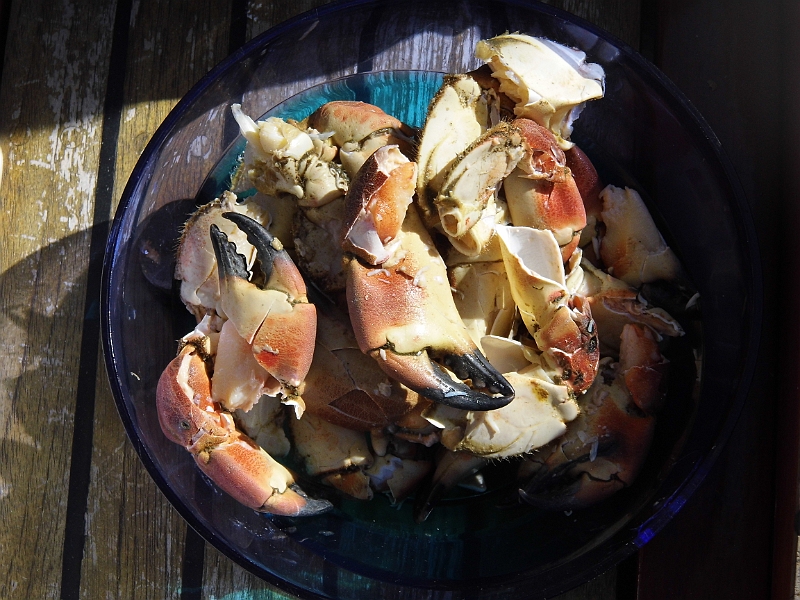 DSCI0666.JPG - Am naechsten Tag schenken uns die norwegischen Motorbootfahrer diese Schuessl randvoll mit gekochten und bereits vorgeknackten Krebsscheren. Ein Festessen!