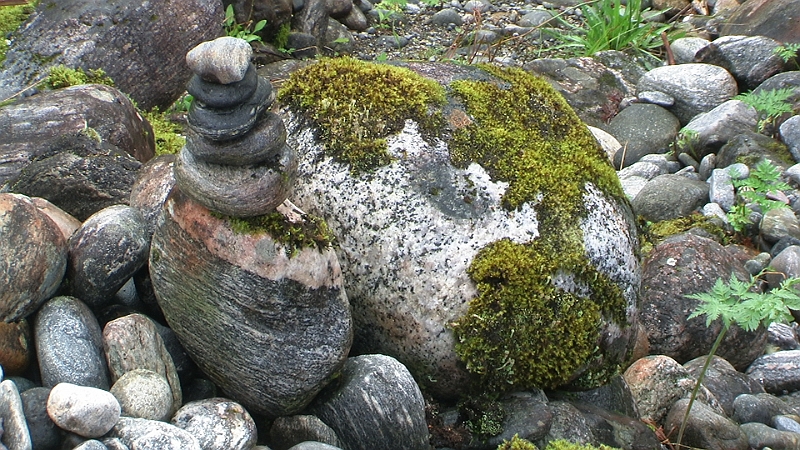 PIC_1703.JPG - Da hat offenbar einer seinen Lieblingsangelplatz am Bach gekennzeichnet.