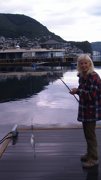 PIC_1905.JPG - Waehrend der Skipper verzweifelt mit dem neuen Notebook Win 8, Norwegische Tastatur und norwegisch konfiguriert, kaempft, zieht die Bordfee einen Babyfisch nach dem anderen aus dem Hafen. Hier ihren ersten Pollack