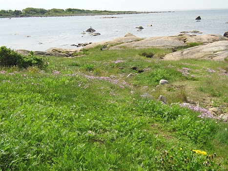 DSCI0011.JPG - Kaum raus aus dem Hafen, hat  man auch schon Natur pur