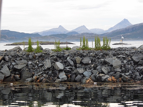 DSCI0195.JPG - Nachdem wir uns entschlossen haben, Setervaagen zu verlassen, erreichen wir Leka auf der Insel Skei. Roervik ist kein schoener Hafen und hat auch keine guten Liegeplaetze, und so lassen wir ihn "links" liegen. Das Wetter fuer die naechsten Tage sieht mehr als bescheiden aus. Es soll kraeftig wehen! Die Kulisse aber wird wieder imposanter.