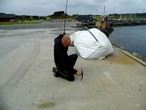 DSCI0212.JPG - Endlich! Auch dem Skipper ist mal das Anglerglueck hold. Wenn auch nur in Form eines Babydorsches. Kurz voher schwamm in 30 m Entfernung von der Pier ein Schweinswal vorbei...