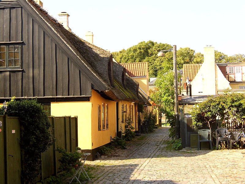 DSCI1090.JPG - In Dragoer ist die Zeit stehen geblieben. Strassen, durch die kein Auto passt, Rankengewaechse ueberall und an jeder Ecke eine schlaefrige Katze...