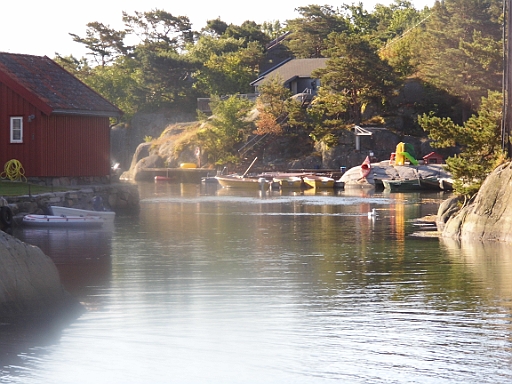 DSCI0124.JPG - Hier lebt alles und jeder am und mit dem Wasser.
