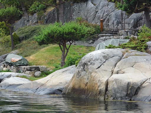 DSCI0320.JPG - Diese Baueme wuerden "in Klein" glatt als Bonsai durchgehen. 