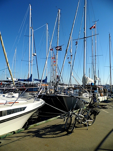 DSCI0564.JPG - Seit dem faehrt auch Maimiti unter dem Jolly Roger... ist nur kleiner, aber die 1,50 x 2,00 m Version ist schon geordert und zu Hause eingetroffen ;-) 