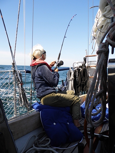 DSCI0596.JPG - Natuerlich konnte die Bordfee nicht wiederstehen und warf die Schleppangel aus. Nach Laes&Atilde;&cedil; hatte es ja auch geklappt