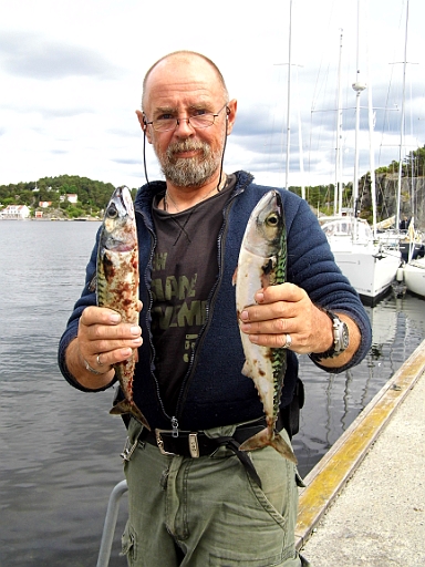 DSCI0011.JPG - Und das sind doch schoene, grosse Exemplare, oder nicht? Geschmeckt haben sie jedenfalls fantastisch!