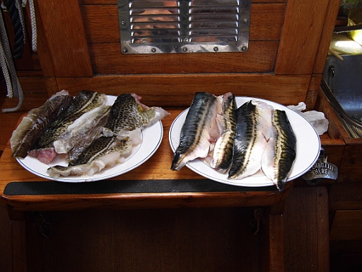 DSCI0093.JPG - Also das Mittagessen fuer zwei Tage ist schon mal gesichert.