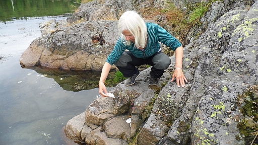 DSCI0249.JPG - Die Bordfee inspiziert erst einmal "ihre" Insel. Hier die Hinterlassenschft eines Austernfischers