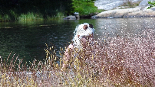 DSCI0282.JPG - Die Bordfee geniesst den Sommer...