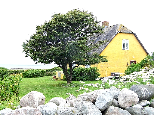 DSCI1405.JPG - Die kuscheligen Haeuser sind nicht alle bewohnt. Nur der Verwalter nebst Frau, zwei Rentnerpaare und ein Tischler bewohnen die Insel fest. Strom gibts in den meisten Haeusern nicht. 