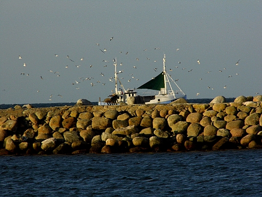 DSCI1462.JPG - Von Zeit zu Zeit kommt ein Fischer vorbei