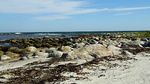 DSCI1534.JPG - Die Ebbe, wenn auch nur 30 cm Differenz, bringt immer wieder Neues ans Licht