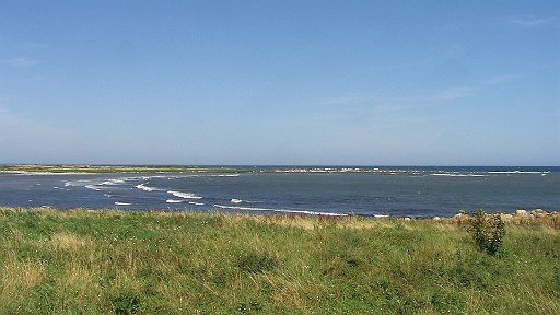 PIC_0024.JPG - Aber lassen wir das. So ist die Natur, an der wir uns bei solchem Anblick weiter erfreuen.